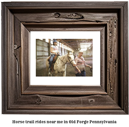 horse trail rides near me in Old Forge, Pennsylvania